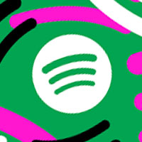 spotify followers