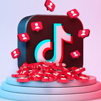 tiktok followers